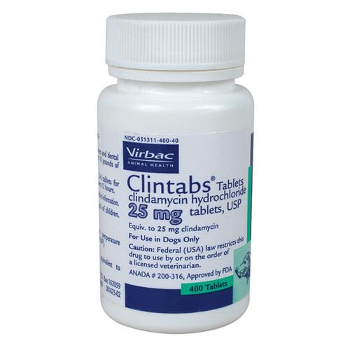 clindamycin dosage for dogs skin infection