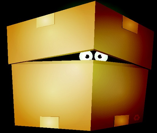 Hiding-in-a-box.jpg