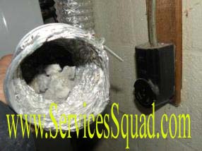 Dryer Vent Lint Cleaning 