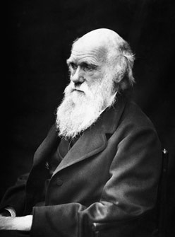 Charles Darwin in the Galapagos