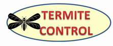 Termite Control Winder GA
