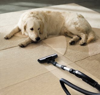 carpet cleaning Buford, carpet cleaners Buford