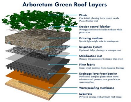 arboretum Green Roof Layers