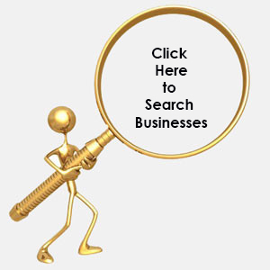 business search
