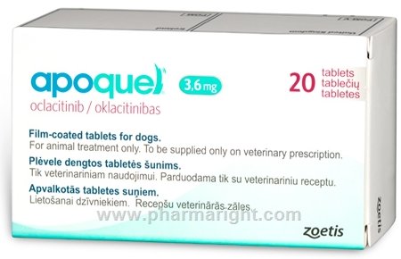 Pet Meds No Prescription Required Apoquel