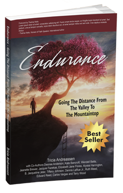 Endurance - Going The Distance From The Valley To The Mountaintop