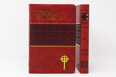Treasury of Novenas Book.