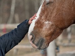 Relationship Building at your Barn