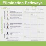 Elimination Pathways