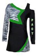 DANCE UNIFORM OR CHEER UNIFORM 