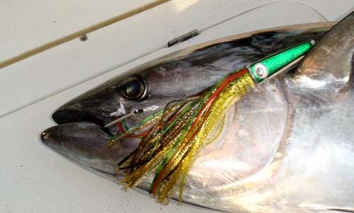 ASARI Heavy-Duty Saltwater Bait Fishing Hook BLACK TUNA