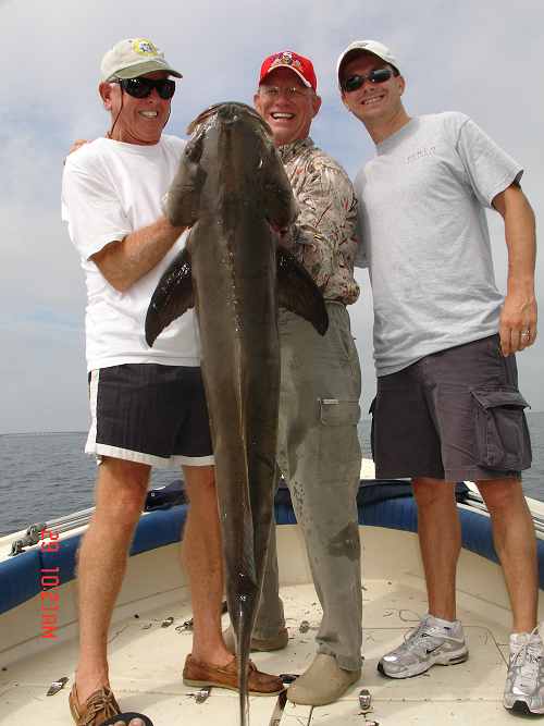 Tormenter Fishing Products - Get Serious - Get Tormenter - Cobia